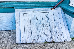 Crawl Space Door